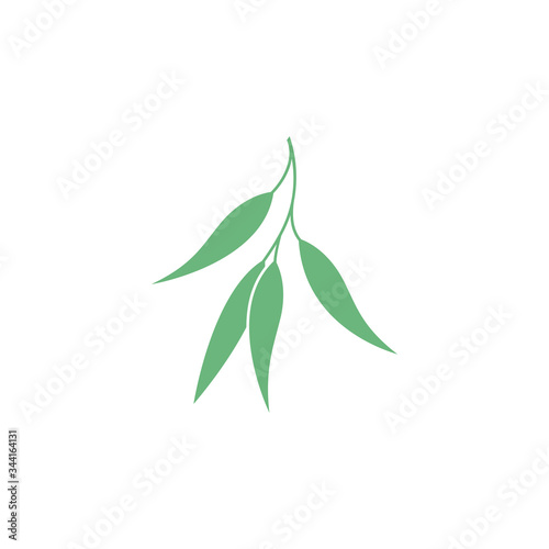 Fototapeta Naklejka Na Ścianę i Meble -  Eucalyptus leaves logo vector template design illustration