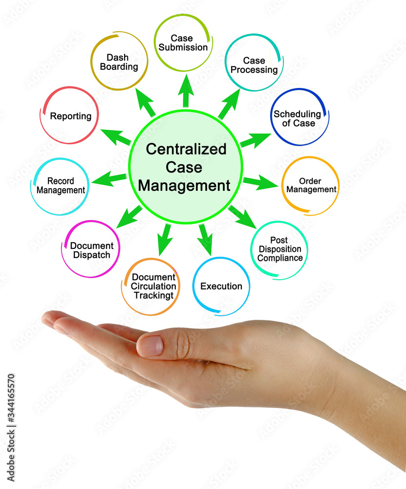 Components of Centralized Case Management. Components of Centralized Case Management.