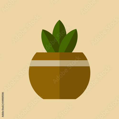 Vector image of indoor flower in a round pot. Stock image. Green leaf.