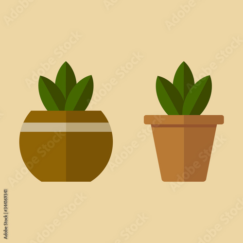 Vector image of potted indoor flowers. Stock image. Flowers with green leaves.