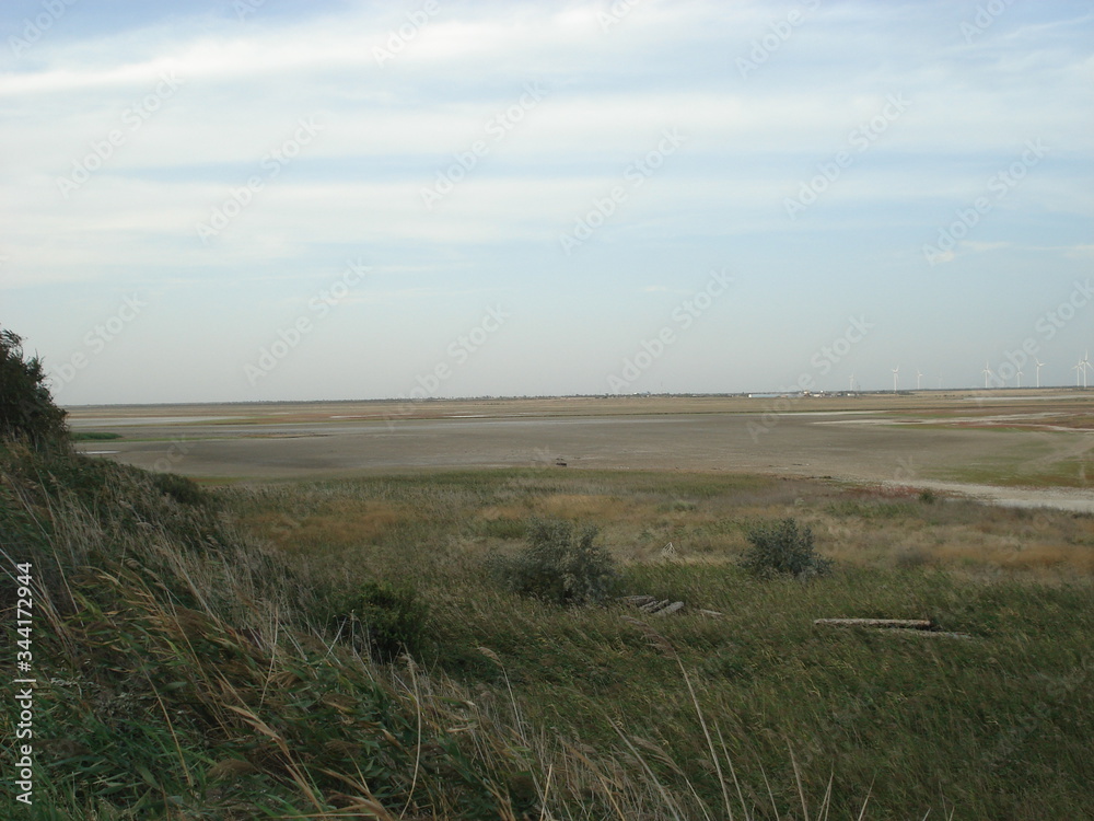 Dried milk firth in autumn