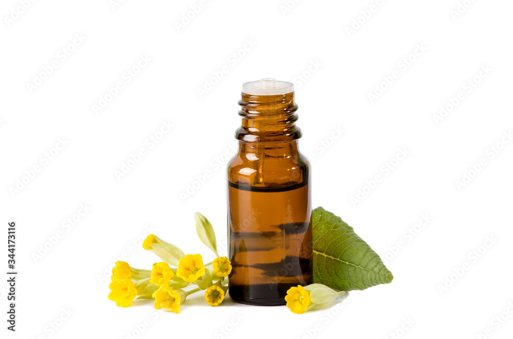 Primula veris (cowslip, common cowslip, cowslip primrose; syn. Primula officinalis Hill tincture oil in bottle with fresh leaf and blossoms. Alternative medicine concept. Primula veris (cowslip, common cowslip, cowslip primrose; syn. Primula officinalis Hill tincture oil in bottle with fresh leaf and blossoms. Alternative medicine concept.