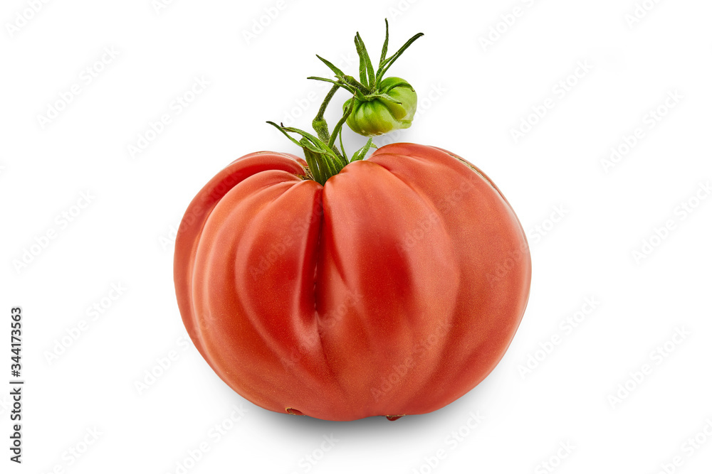 Ochsenherz, Tomate, Paradeiser, Ernte, Gärtner, Garten, rot, grün, lecker, gesund, freigestellt, einzeln, auf weiss, Sorte, Saatgut Ochsenherz, Tomate, Paradeiser, Ernte, Gärtner, Garten, rot, grün, lecker, gesund, freigestellt, einzeln, auf weiss, Sorte, Saatgut