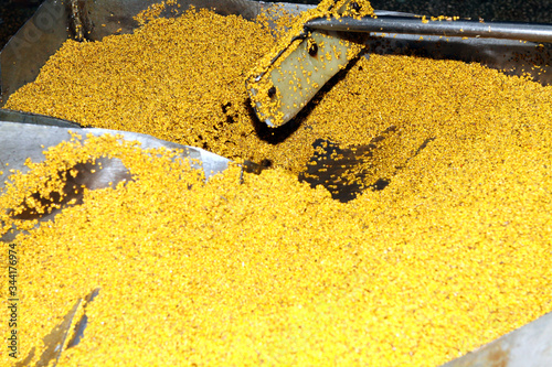 Mustard Powder Factory Making mustard mass from mustard seeds. Innovative equipment for the industrial production of mustard.