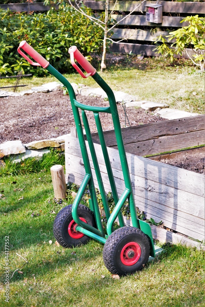 Fototapeta premium Pflanzen, Bäume, Knospen, Blüten, Blumen und Wollschweber. Frühlingstag im April. Postkartenmotiv, Wallpaper und free space für Texte 