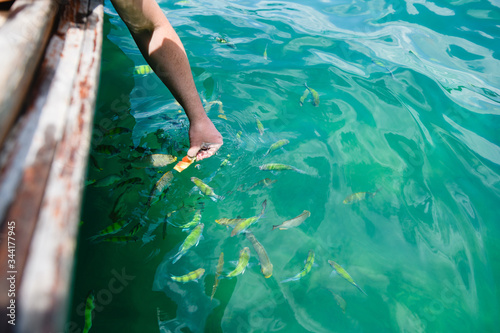 Canvas Print Male hands with fish bait at water