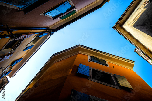 A VIEW OF THE SKY FROM THE FROG PERSPECTIVE