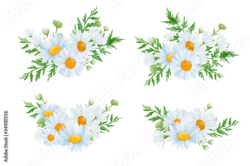 set of daisies flower. Bouquet of daisy flowers.