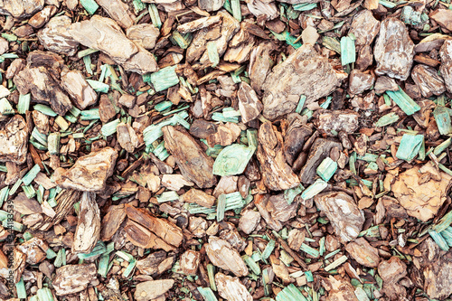 Wood chips texture, abstract close up wooden background.