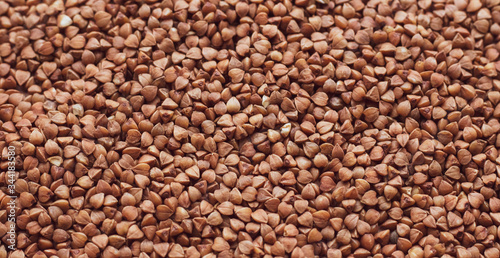 buckwheat. fresh buckwheat. dry buckwheat background buckwheat texture.