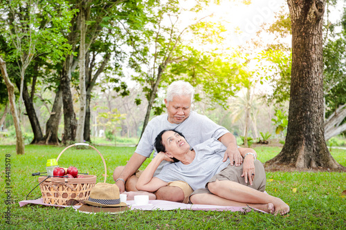 Asian elderly couples sit for picnics and relax in the park. They are happy in life after retirement. Old age health care concept. copy space