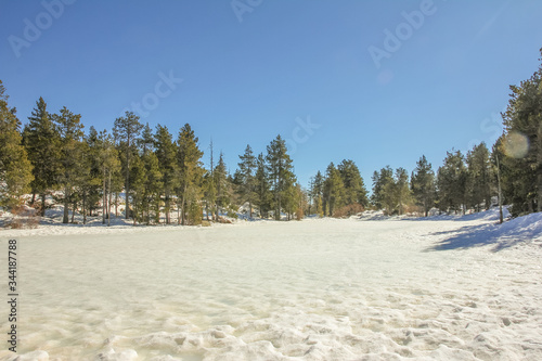 Snow full of textures surrounded by green trees and a beautiful day
