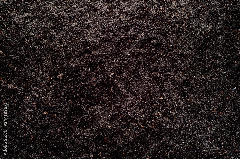 Obraz premium Naturalna żyzna gleba 