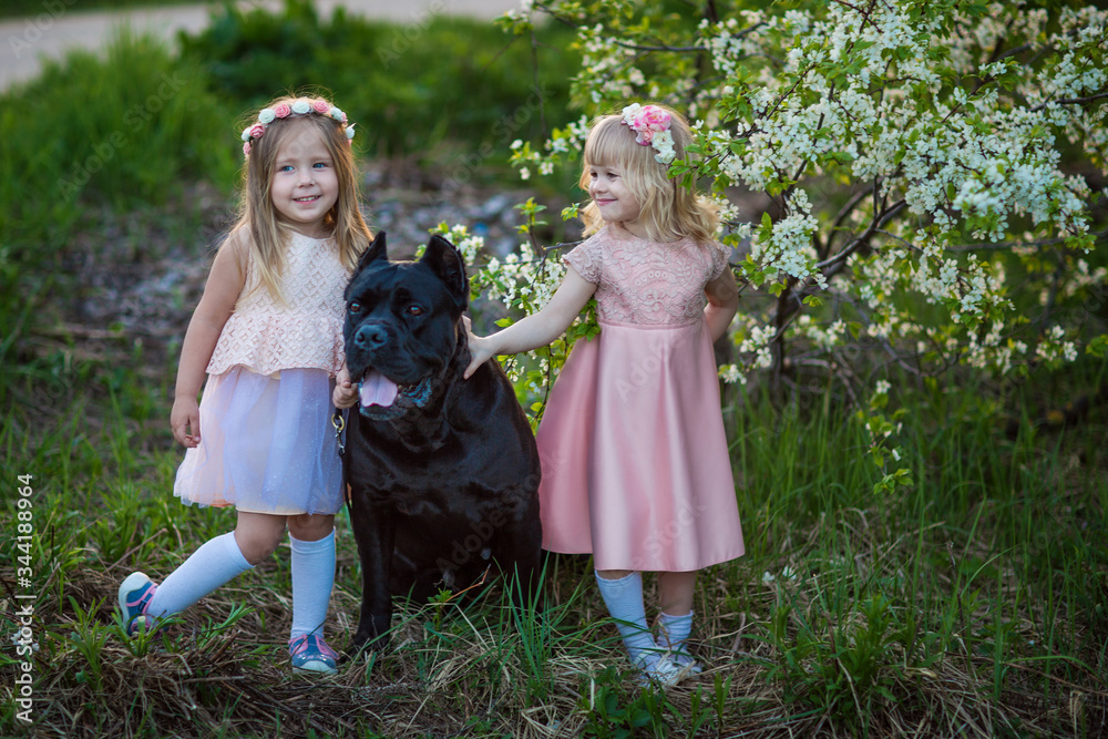 little girls walk a dog in blooming gardens