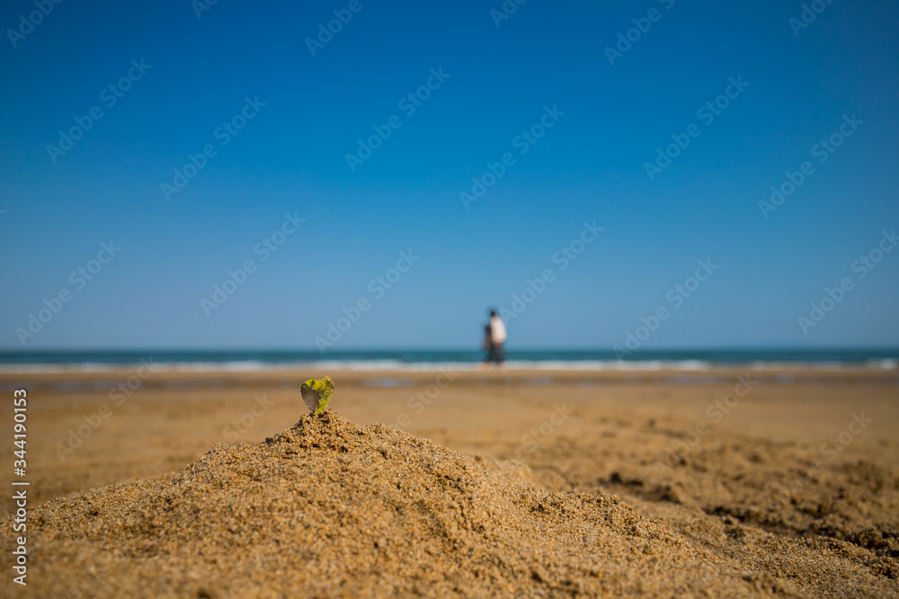 海の砂浜で砂遊びをしている子供姉妹