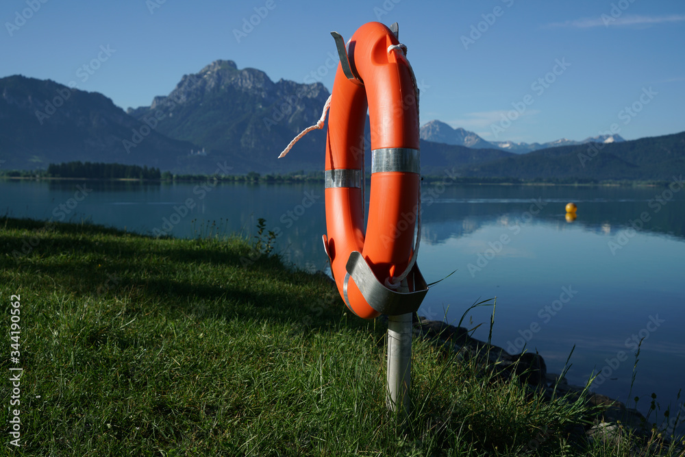 life buoy on the lake