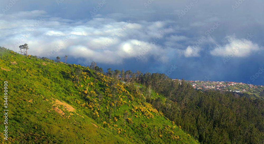 Aerial view of Madeira mountains, Portugal, Europe