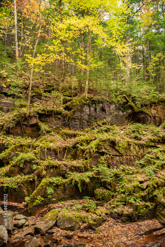 Flume gorge in Franconia Notch State Parke