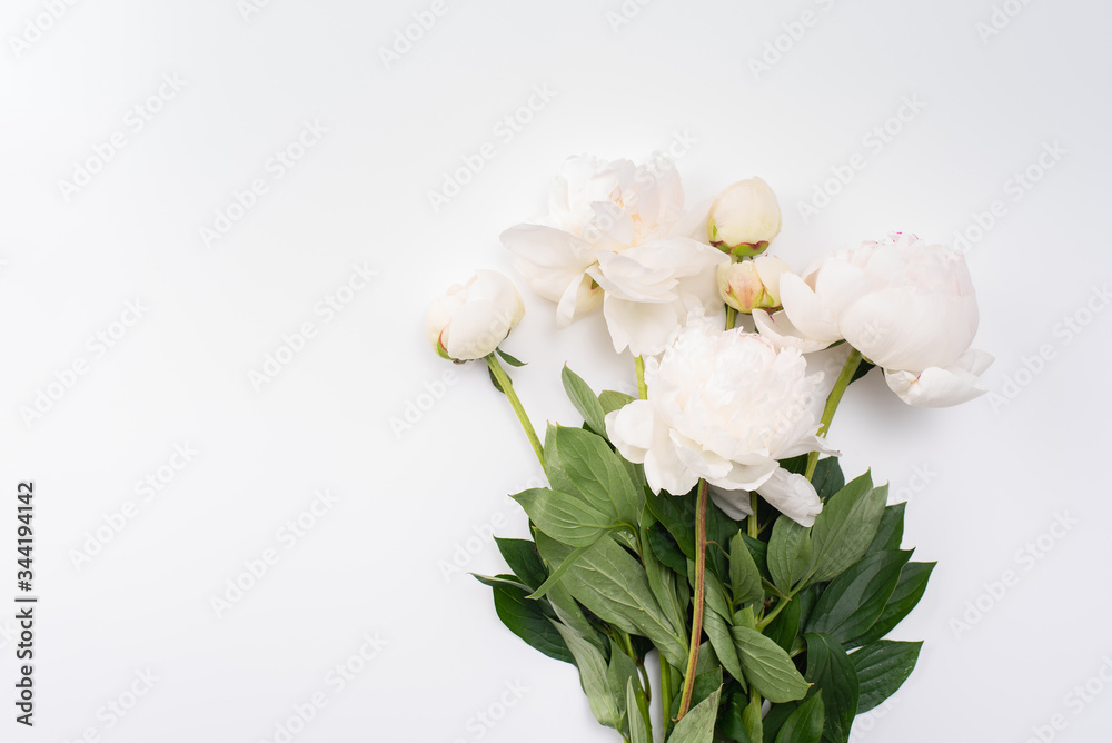 Bouquet of white peonies on a light background.