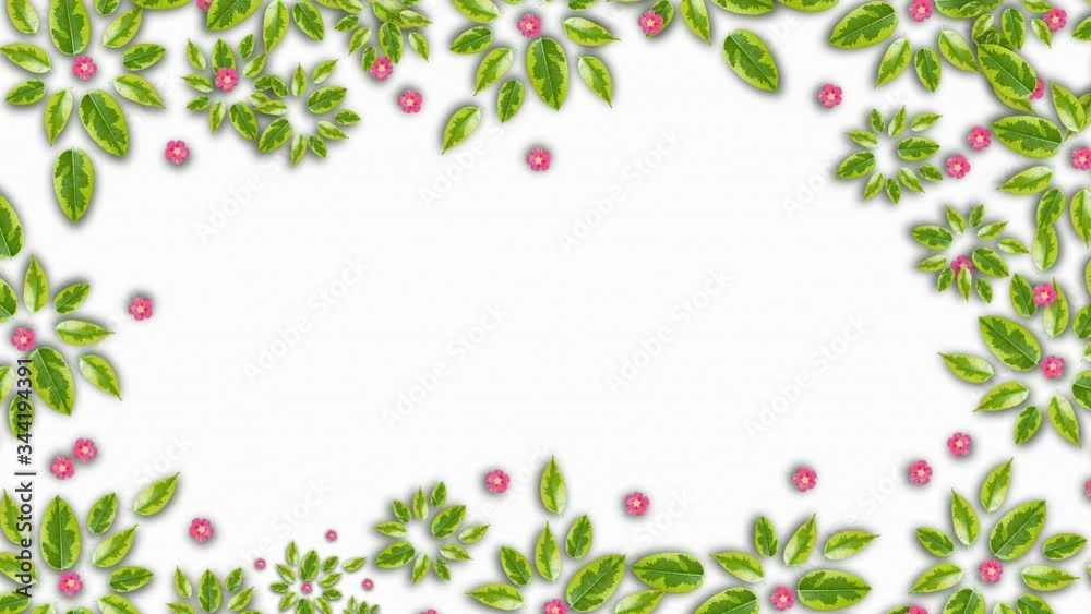 Green Leaves Floral copy space background. Stopmotion animation. Ficus leaves isolated on white background. Green Leaves Floral copy space background. Stopmotion animation. Ficus leaves isolated on white background.