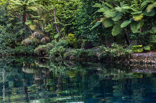 lush forest green foliage over freshwater lake blue lagoon Espirito Santo island Vanuatu Oceania