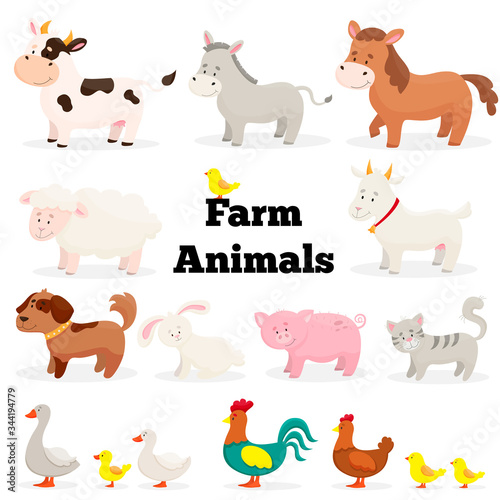 Fototapeta Naklejka Na Ścianę i Meble -  Farm animals in flat style. Isolated over white background. Collection of cute cartoon animals: cow, goat, horse, pig, donkey, sheep, dog, cat, rabbit, rooster, chicken, chickens, goose, duck.