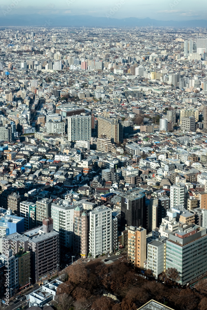 Cityscape of Tokyo and skylines. Taken from Tokyo metropolitan government building. Japan travel landmark.