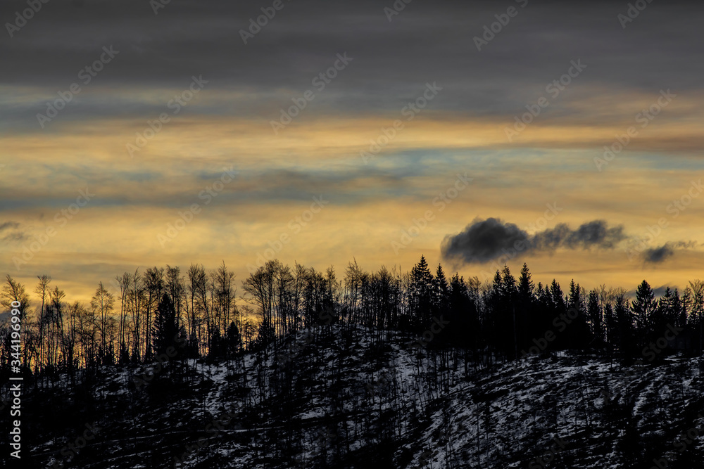 Sunrise over Bohinj forest, winter time
