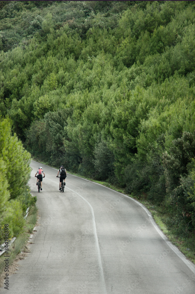 cycling in the forest