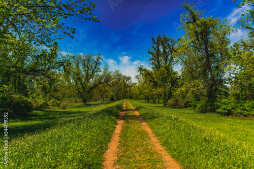 Country road