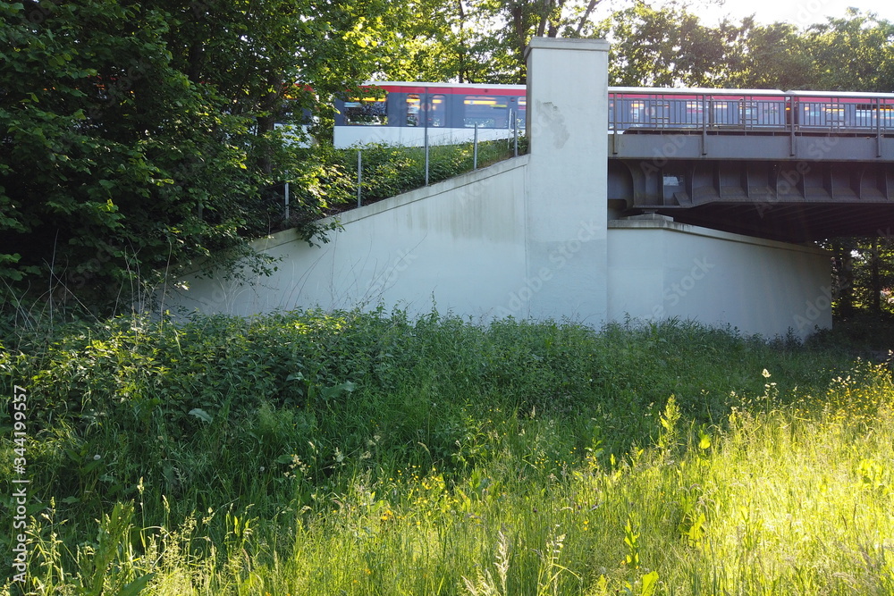 Fototapeta premium U-Bahn auf der Brücke