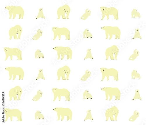 Fototapeta Naklejka Na Ścianę i Meble -  Illustration of a polar bear