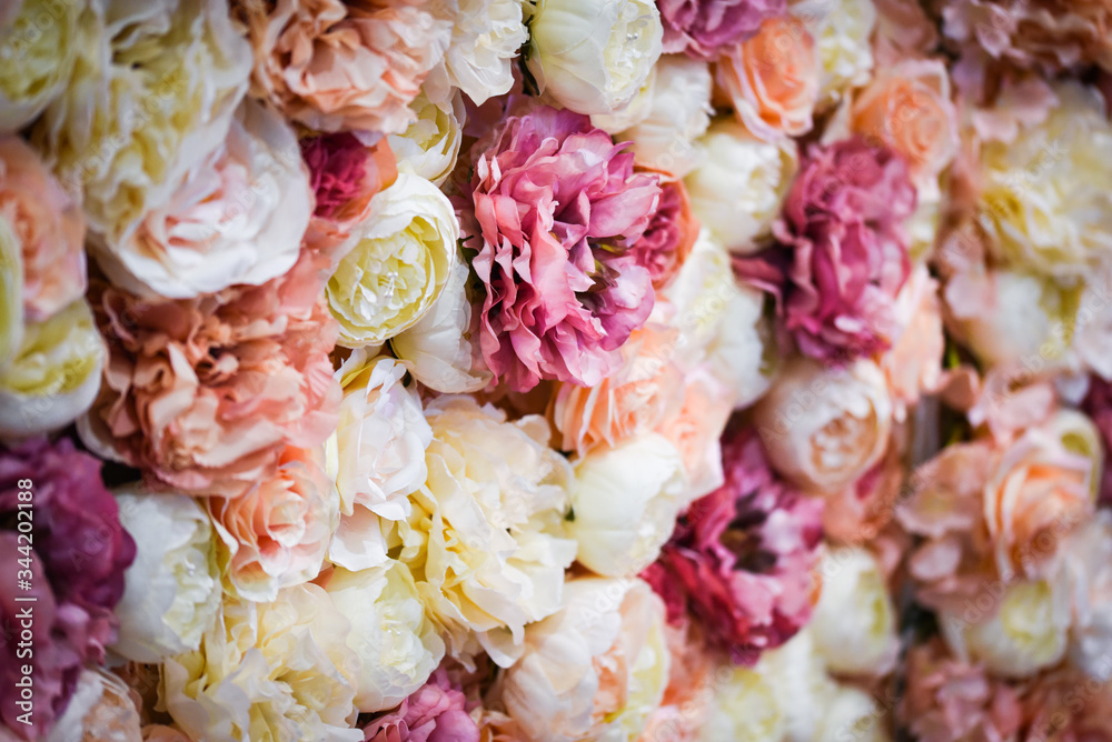 fresh natural flowers close up view fresh natural flowers close up view