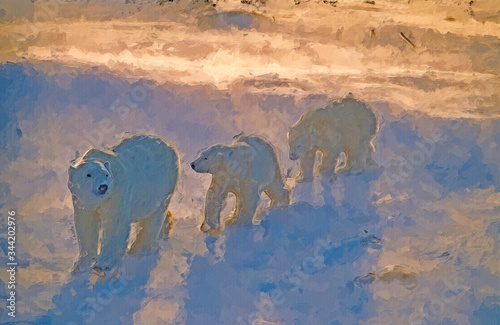 Polar bears in snow storm photo art