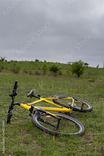 Yellow bicycle on green grass