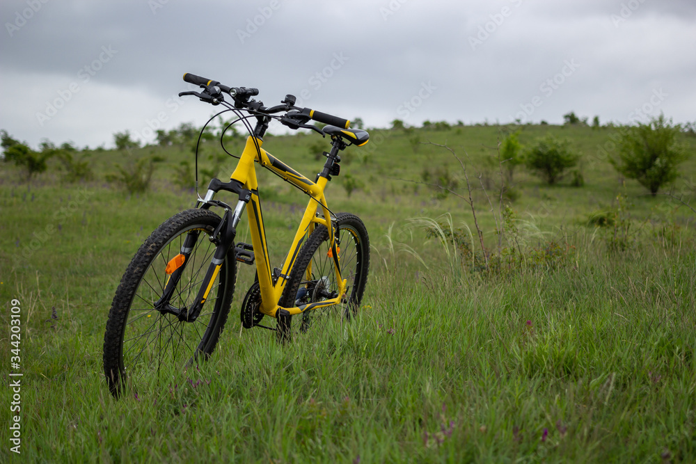 Yellow bicycle on green grass