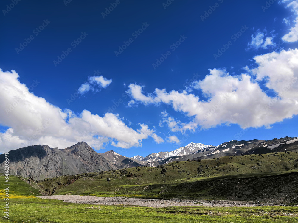 Alpine flowering meadows in the mountains of the North Caucasus. Mountain tourist road through green fields and flowering meadows ha rocky mountains background Alpine flowering meadows in the mountains of the North Caucasus. Mountain tourist road through green fields and flowering meadows ha rocky mountains background