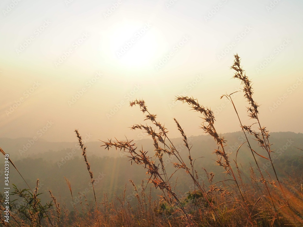 Obraz premium sunrise in the morning