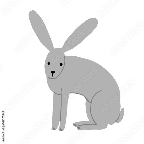 Cute adorable grey hare isolated on white background. Funny bunny drawn by hand. Flat style sitting rabbit. Simple design. Stock vector illustration. © passionastia