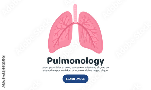 Vector healthy human lungs. Background for label, advertisement of pulmonary medicine, landing page or banner for pulmonology clinic, design for website or article about respiratory system health