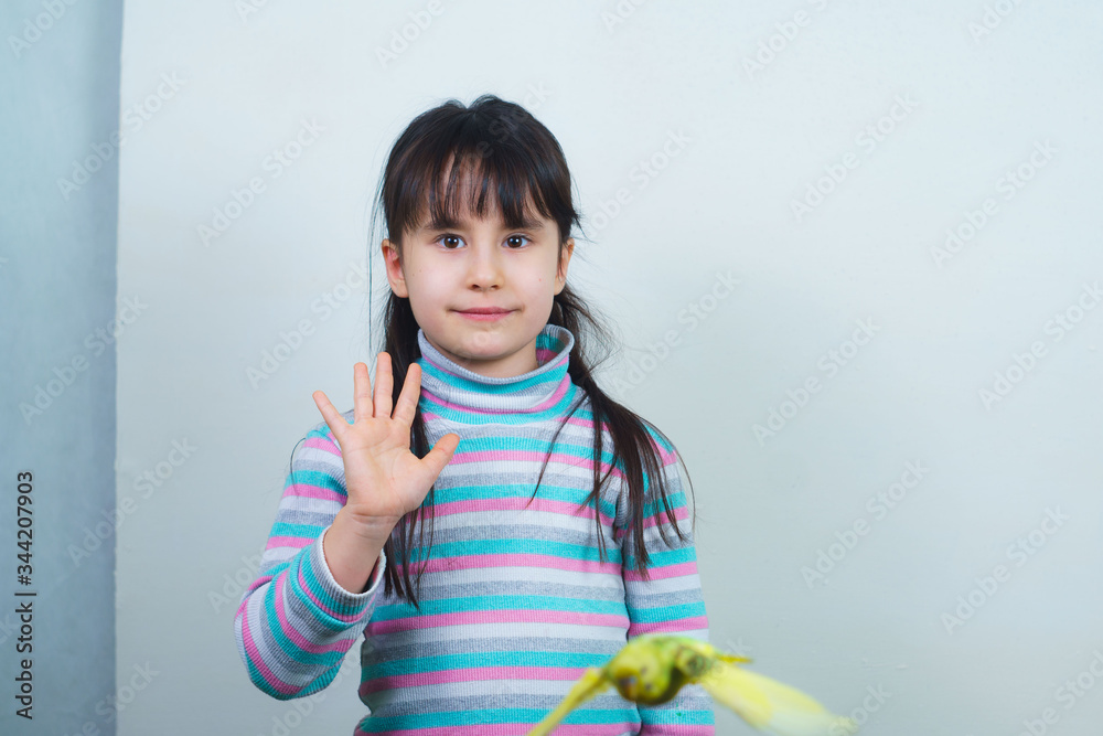Cool budgie. A cute yellow budgerigar is sitting on the shoulder of a girl with long hair. Tamed Pet Cool budgie. A cute yellow budgerigar is sitting on the shoulder of a girl with long hair. Tamed Pet