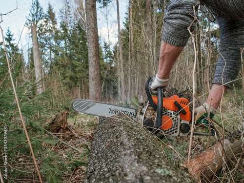 lumberjack cuts down trees with a chainsaw