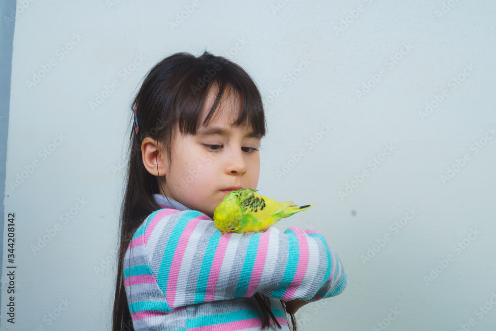 the child plays and communicates with his green hand-wavy parrot. Tamed Pet the child plays and communicates with his green hand-wavy parrot. Tamed Pet