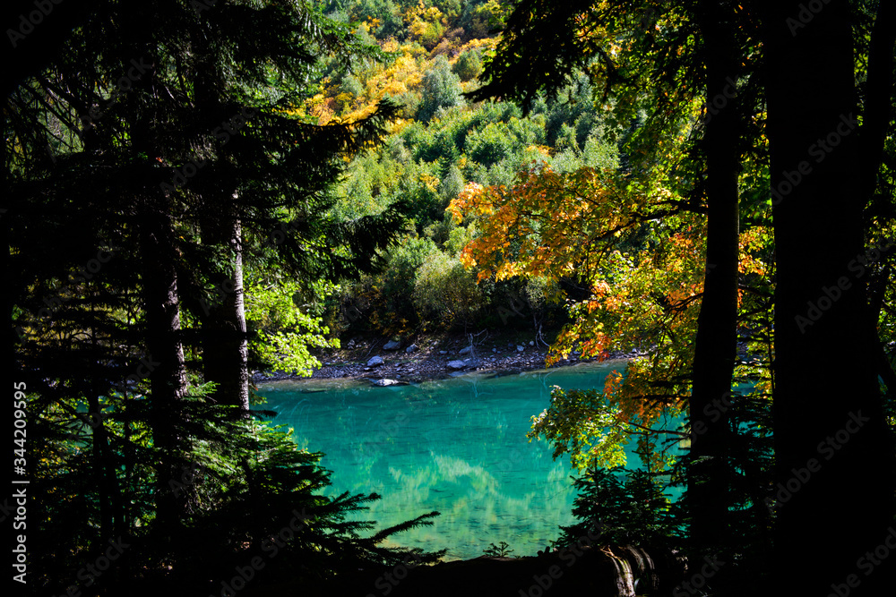 Turquoise wild lake through the crowns of trees. Clear clear water, fresh air, pine forest. Turquoise wild lake through the crowns of trees. Clear clear water, fresh air, pine forest.