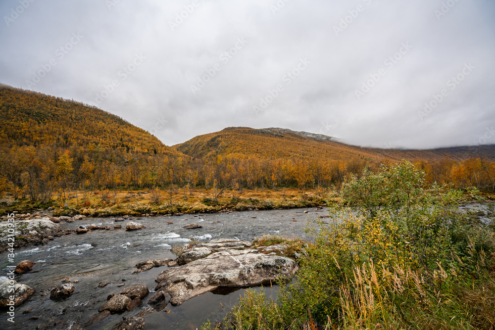 Streaming river and autumn colors in the forests and mountains in southern Norway during autumn close to Borgund