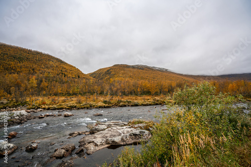 Streaming river and autumn colors in the forests and mountains in southern Norway during autumn close to Borgund © Mick Go