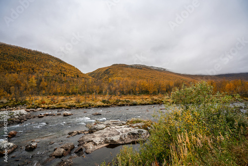 Streaming river and autumn colors in the forests and mountains in southern Norway during autumn close to Borgund