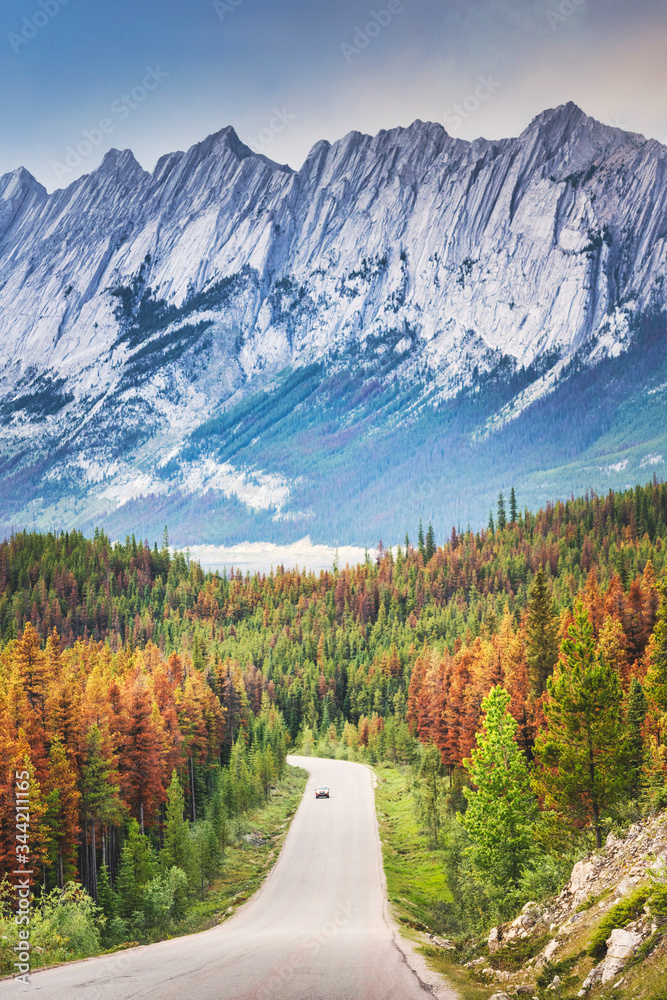 Open road to nature, Jasper, Canada