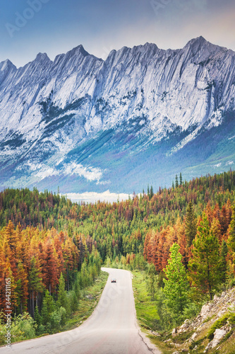 Obraz na płótnie Open road to nature, Jasper, Canada w salonie