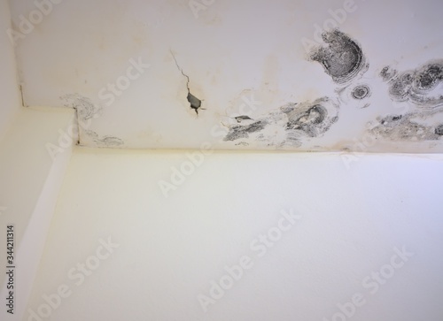 Holes in the ceiling, black mold on the ceiling Moisture on the ceiling Black on the ceiling Dampness Damage to the old ceiling